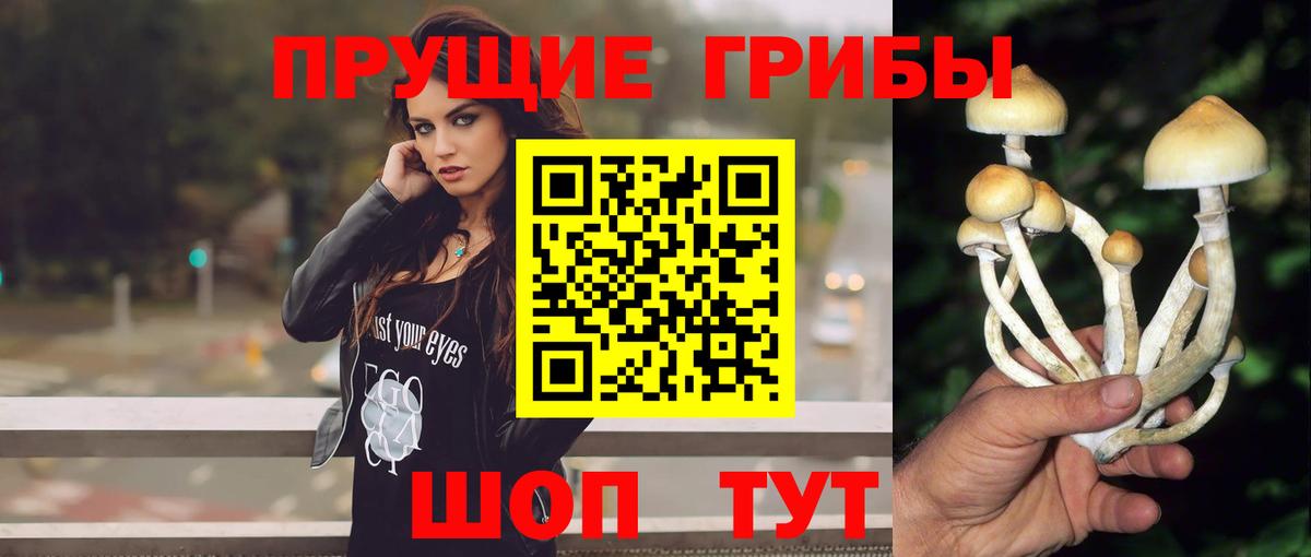 Галлюциногенные грибы Magic Shrooms  хочу наркоту  Тверь  Вход с VPN 